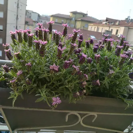 Vittoria 36 Mf Bergamo Lejlighed